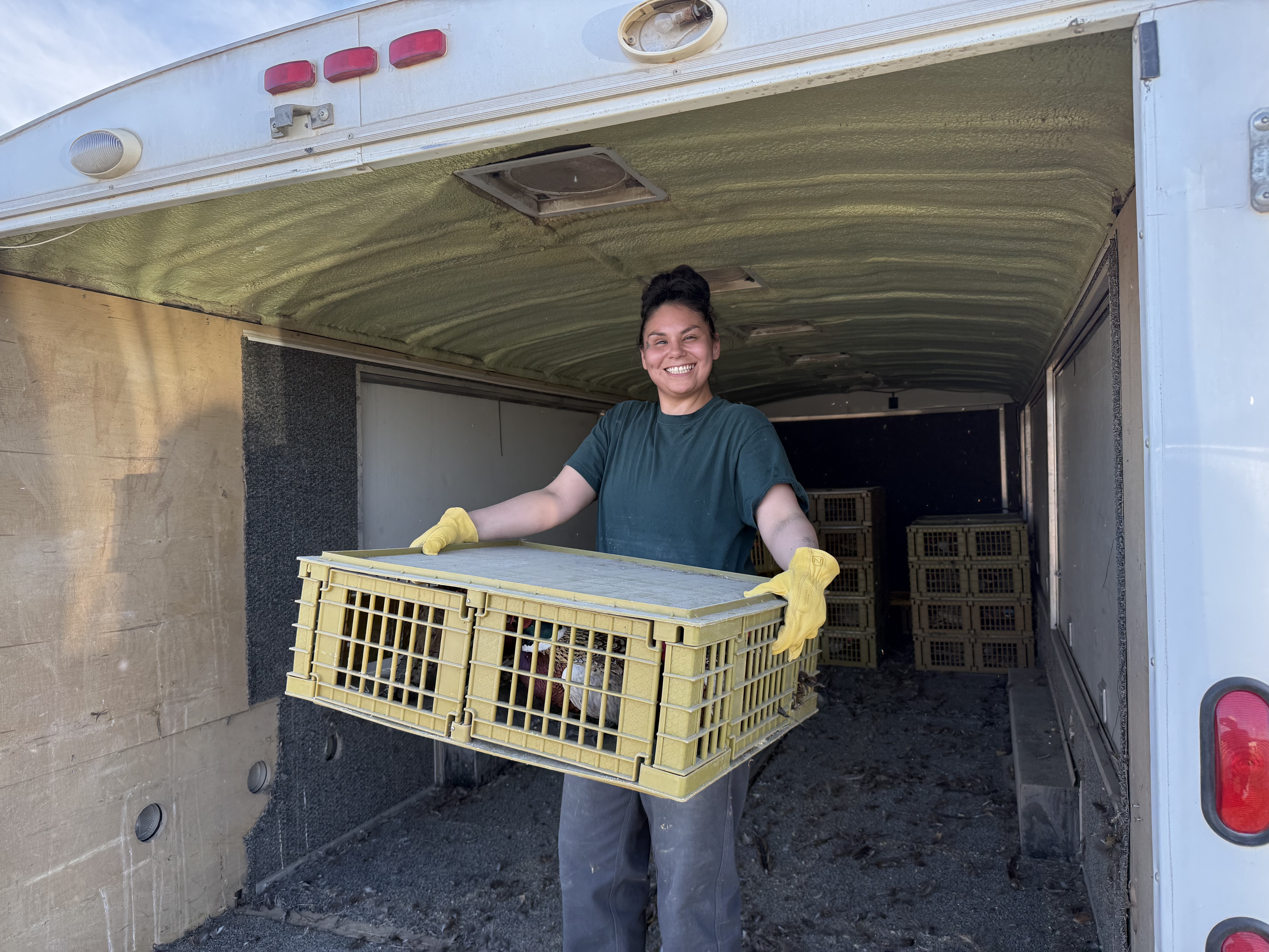 An inmate worker carrying a crate of pheasants.