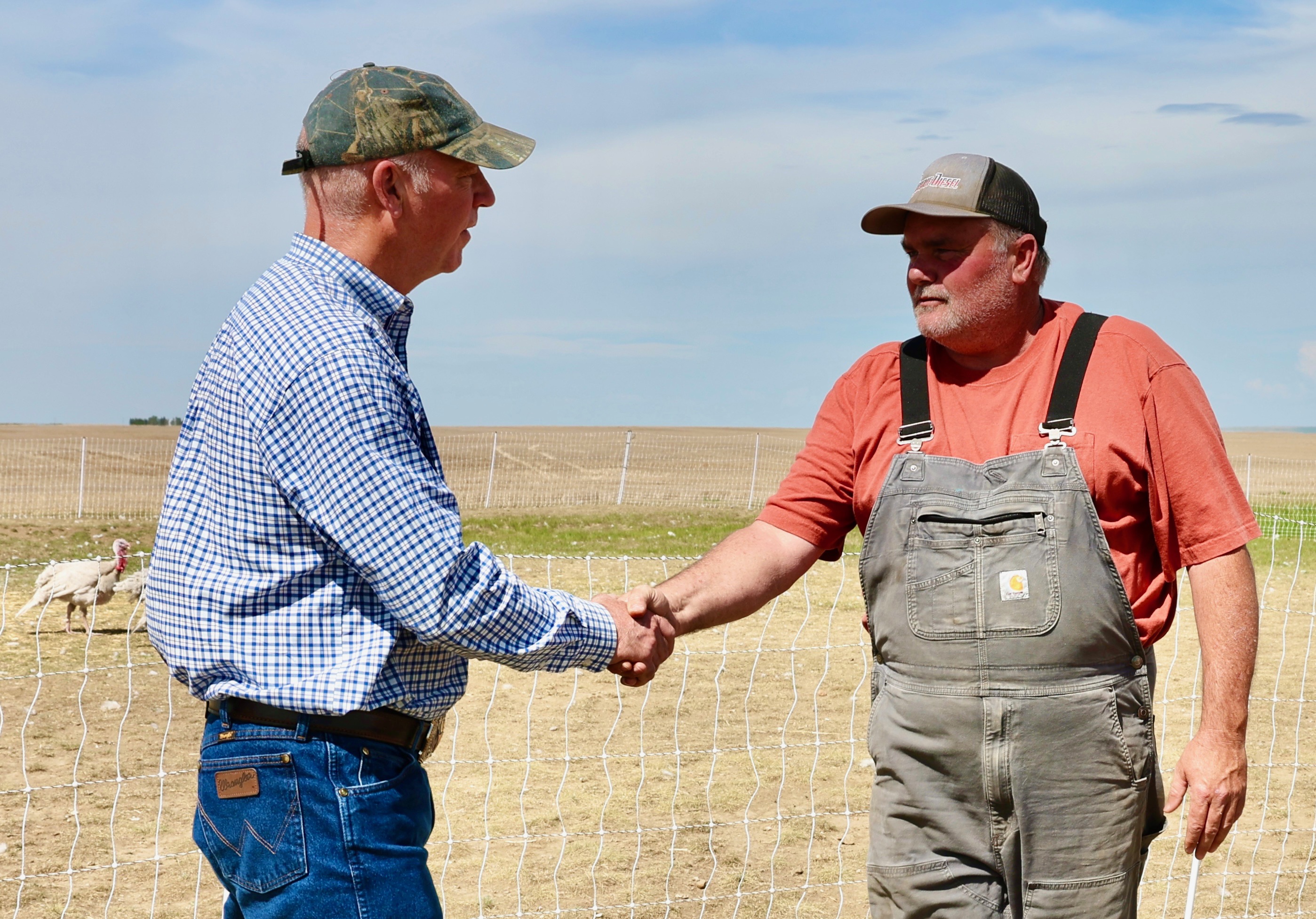 Gov. Gianforte visiting Flocking Good Farms in Big Sandy with owner Joe Ostrom