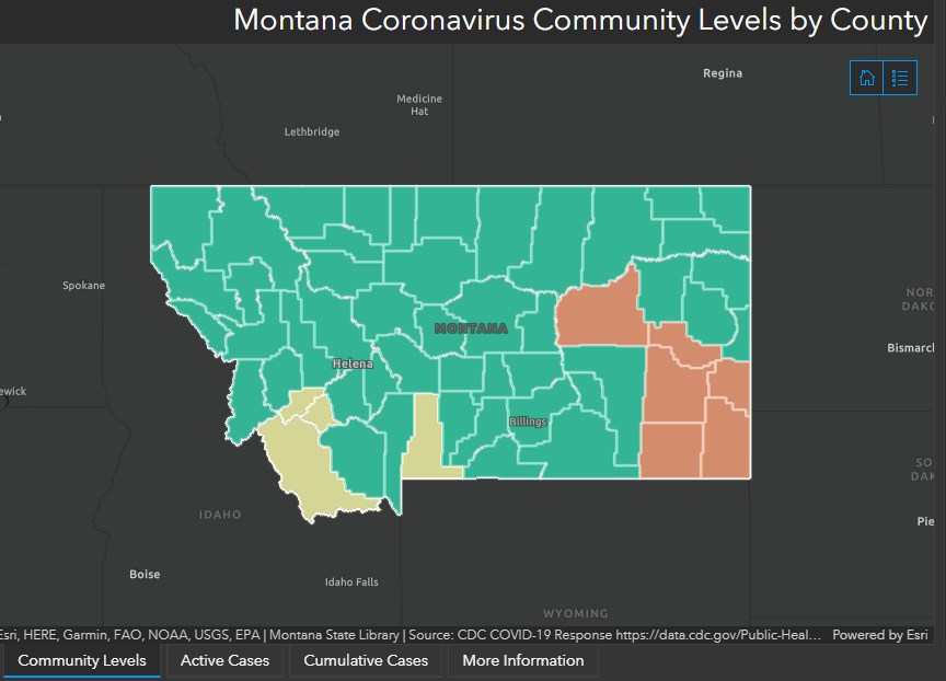 COVID Dashboard